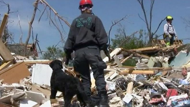 Tornadossa menehtyneitä etsitään ruumiskoirien avulla Tuscaloosassa, Alabamassa.