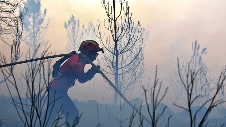 Portugalissa tulipalot ovat koetelleet maata jo kolmen päivän ajan.
