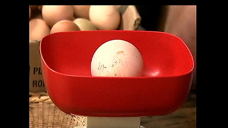 Kolumbialainen 245-grammainen kananmuna.