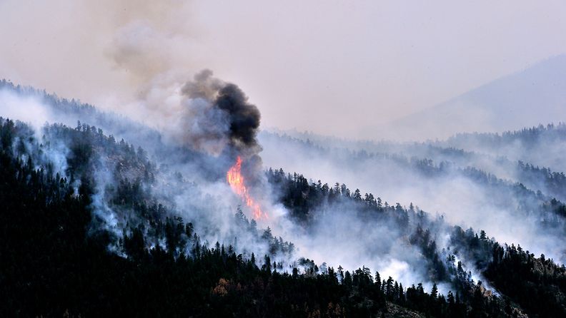 Coloradon metsäpaloja toukokuussa.