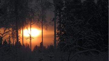 Auringonpimennys kuvattuna Pohjanmaalla Ylivieskassa 4.1.2011. Kuvaaja: Jarkko Halinen 