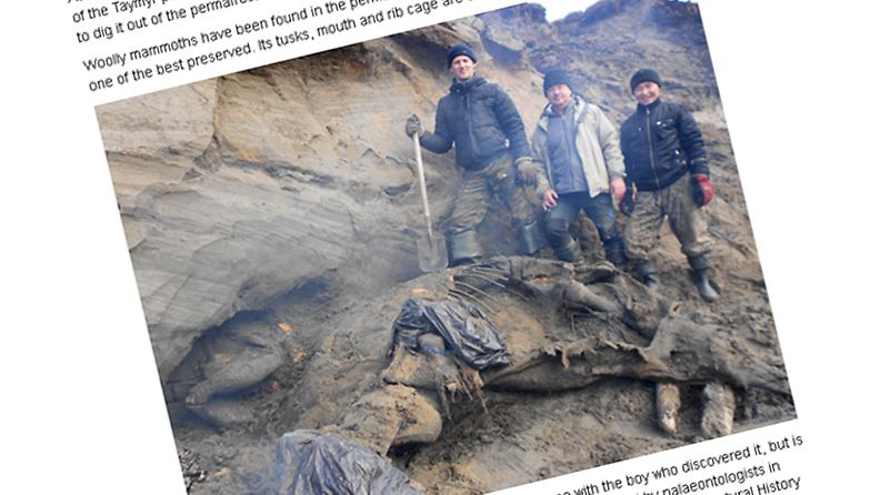 Pikkupoika löysi kokonaisen mammutin Venäjällä. Kuvakaappaus: NewScientist.