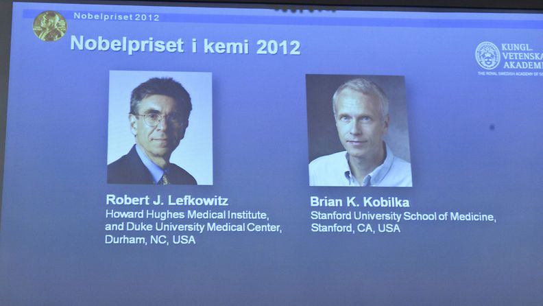 Kemian Nobelin voittajat  Robert J. Lefkowitz ja Brian K. Kobilka  kuvaruudussa lehdistötilaisuuden aikana.
