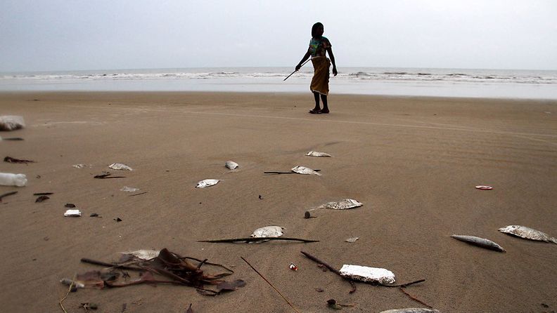 Kuolleita kaloja Bongan rannikolla Nigeriassa.