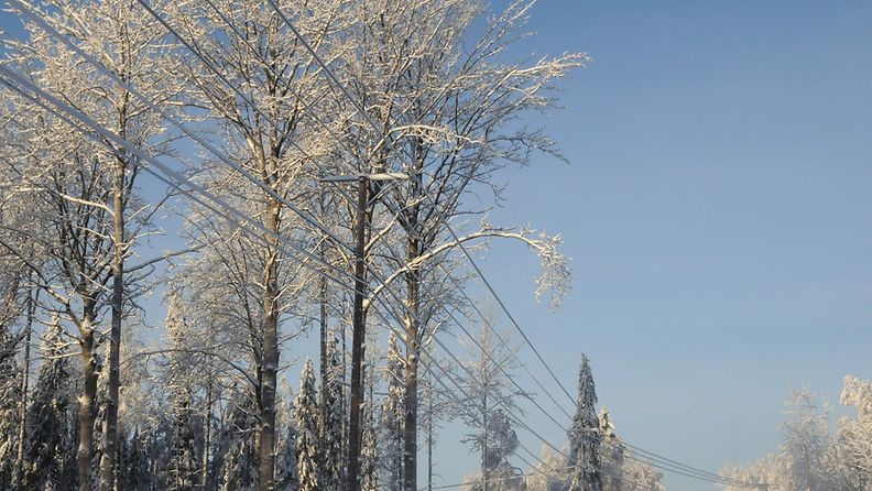 Sähkölinjoille ja puihin kerääntynyt lumi on aiheuttanut laajoja sähkökatkoksia Hämeessä ja Savossa. Myös puolustusvoimat on ollut avustamassa sähkölinjojen saattamista kuntoon, keskiviikkona 26. tammikuuta 2011.  