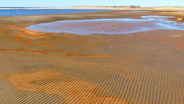 Värikäs merenpohja aurinkoisella hiekkarannalla Lohtajalla 23. huhtikuuta 2014. Lukijan kuva: Matti Hietala