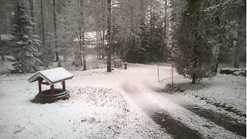 Luminen piha Nummelassa 5. toukokuuta 2014. Lukijan kuva: Sikke Klemetti