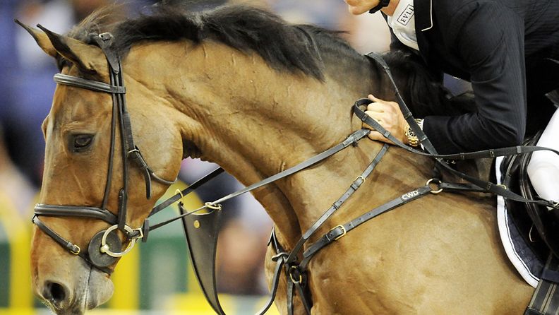 Kuvan henkilö ja hevonen eivät liity uutiseen. Kuvituskuva vuoden 2009 Helsinki International Horse Show'sta.