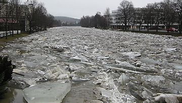 Uskelanjoen vedenpinnan nousu on tuonut tulvan Salon keskustaan 4.4.2010. (Kuvaaja: Tina Kesälä) 