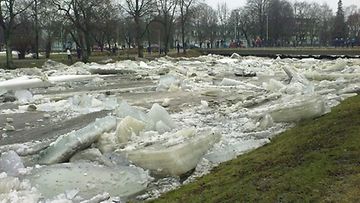 Uskelanjoen vedenpinnan nousu on tuonut tulvan Salon keskustaan 4.4.2010. (Kuvaaja: Jari Havia) 