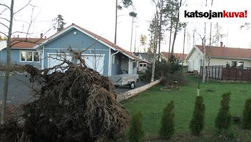 Myrskytuhoja Paimiossa Naskarlan alueella. Kuva: Pekka Tuominen