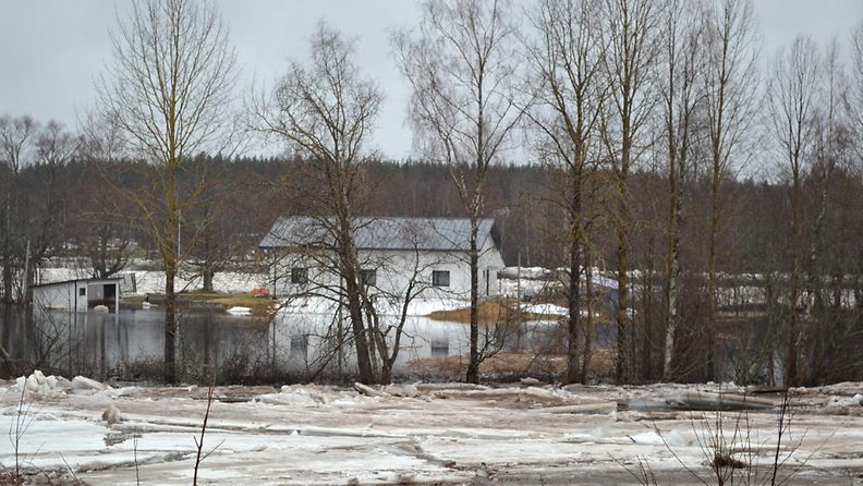 Tulvavesi saartanut talon Oulun Kiimingin Alakylässä tiistaina 23. huhtikuuta 2013. 