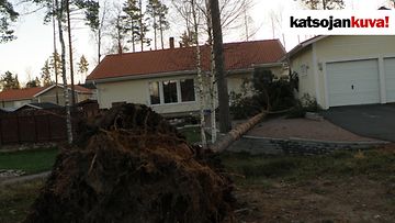 Myrskytuhoja Paimiossa Naskarlan alueella. Kuva: Pekka Tuominen