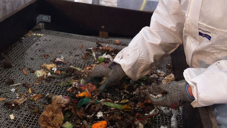 Maa- ja elintarviketalouden tutkimuskeskus MTT lajitteli sekajätteitä kaatopaikalla. Kuva: MTT