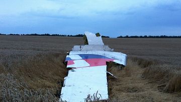 Malaysia Airlines lento MH17 alasammuttu Itä-Ukrainassa siipi