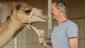 Pentti Koivistolla on lammin suhde kameleihinsa  (1)