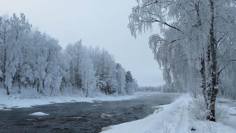 Pajakkakoski Kuhmossa 18. tammikuuta 2013. Lukijan kuva