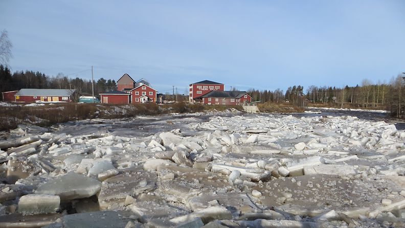 Kalajoen tulva ja jääpato 18. huhtikuuta 2013 aamupäivällä. Lukijan kuva