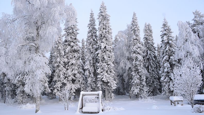 Talvinen takapiha Kemissä 21. tammikuuta 2013. Lukijan kuva: Kirsi Pekkarinen