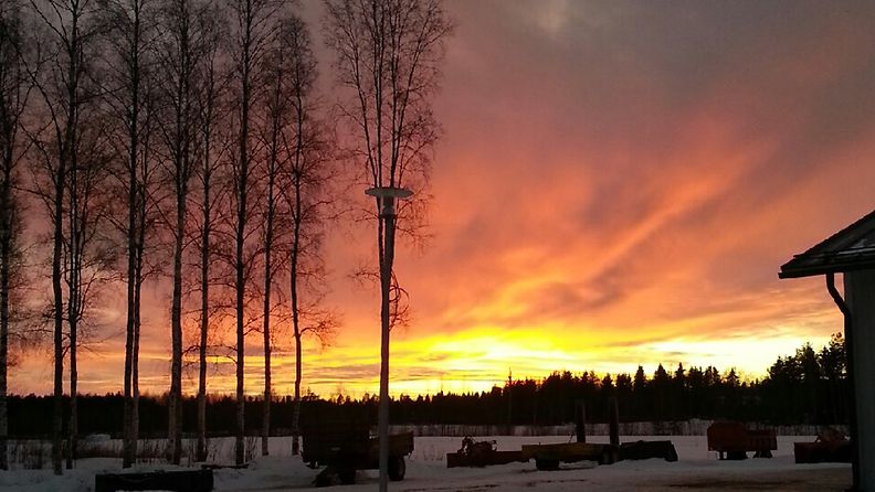Sääkuvat maaliskuu 2013 Auringonlasku Kälviällä