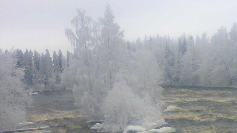 Talvinen koski joulukuun alussa 2012.
