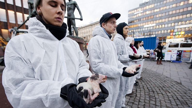  Oikeutta Eläimille -yhdistyksen jäsenet kantoivat tuotannossa menehtyneitä porsaita mielenilmauksessa sikojen puolesta Kolmen sepän patsaalla Helsingissä, 23. marraskuuta 2011. 