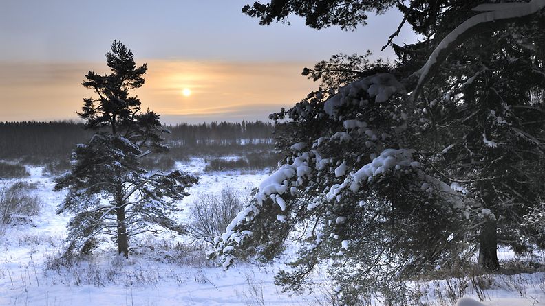 Aurinko näyttäytyi vuoden pimeimpänä päivänä Hyvinkään Åvikissa klo 12.40 22. joulukuuta 2010. 