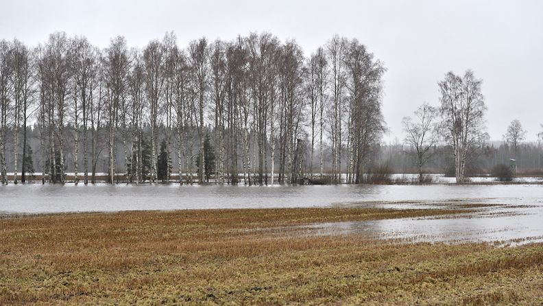 Kytäjoki tulvii Kytäjän pelloilla Hyvinkäällä 18. joulukuuta 2011.