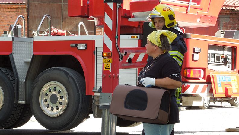 Paikalliset palomiehet saapuivat auttamaan haukanpoikasen pesäänsä. Kuva: Hanna Heino