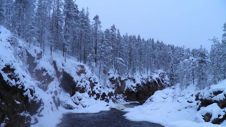 Kuusamon Kiutaköngäs helmikuussa 2012