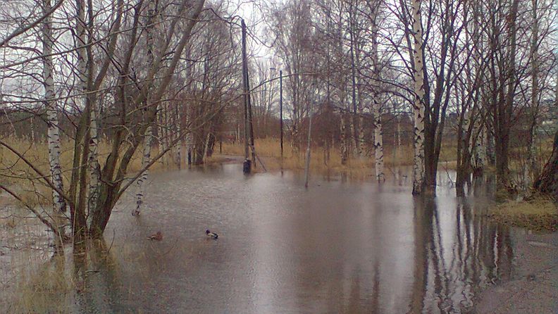 Kuva tulvivasta Töölönlahden eteläkärjestä 19.12.2011. Kuva on Finlandia-talon parkkipaikan pohjoispäädystä. Kevyen liikenteen väylä on peittynyt veden alle.