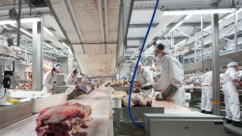 Atrian uusi teurastamo Kauhajoella on yksi Euroopan suurimmista.