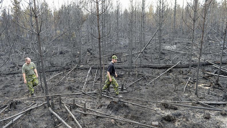 Ruotsi maastopalo metsäpalo