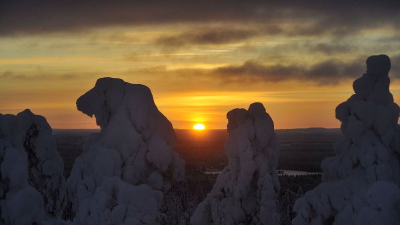 Aurinko laskee lumisen metsän ylle Kuusamossa sunnuntaina 12. joulukuuta 2010.