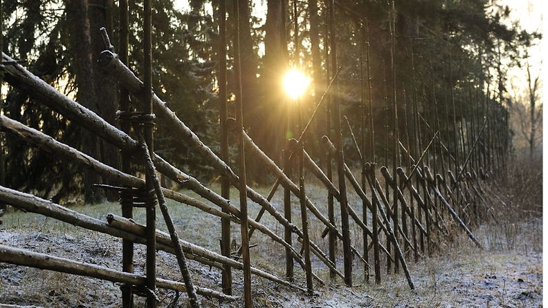 Lakikorkeudessa oleva aurinko paistaa vuoden pimeimpänä päivänä puiden ja perinteisen pistoaidan lävitse Hyvinkäällä 22. joulukuuta 2011. 