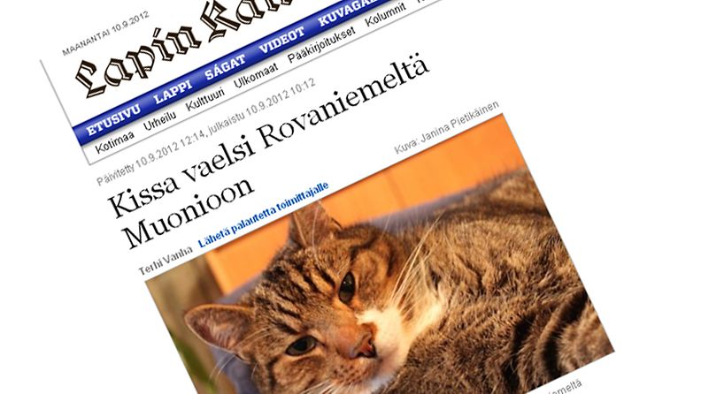 Jussi-kissa vaelsi Rovaniemeltä Muonioon. Kuvakaappaus Lapin Kansan sivuilta.