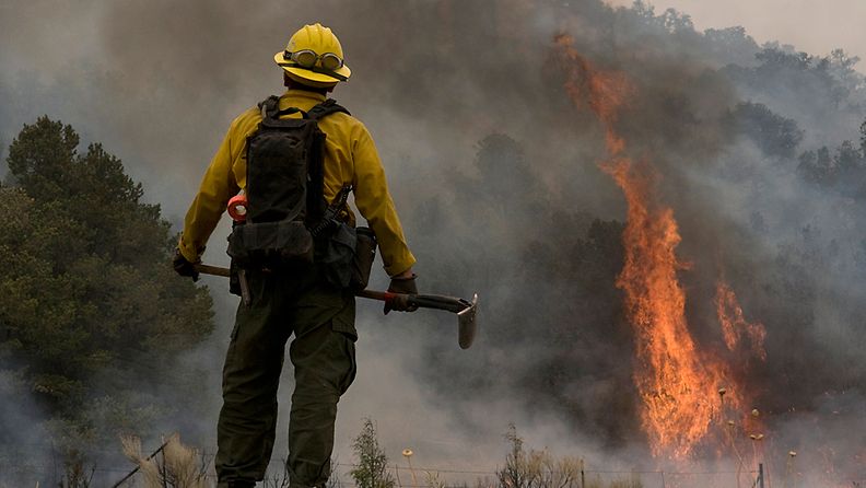 Palomies metsäpalon äärellä Arizonassa 10.6.2011.