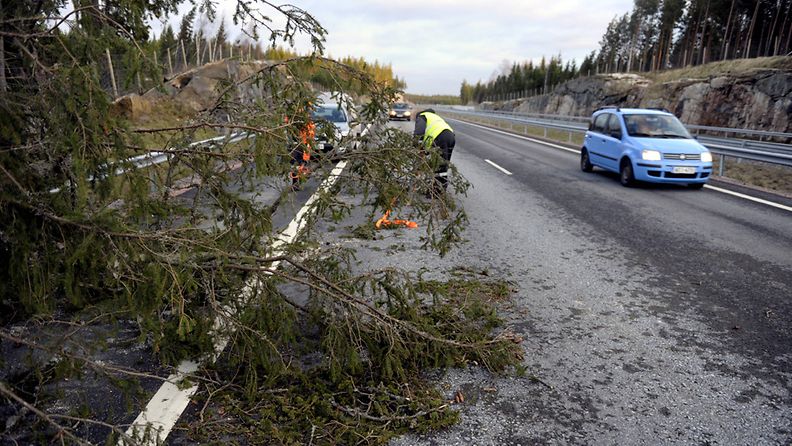 Tapaninpäivän myrsky kaatoi puun Turku-Helsinki moottoritielle liito-oravistaan tunnetussa Kruusilassa.