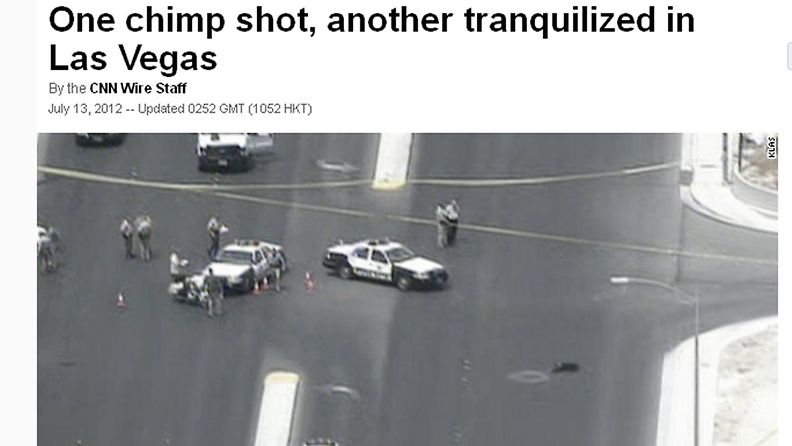 Poliisi joutui ampumaan toisen simpansseista, jotka hyökkäilivät eilen aamulla autojen kimppuun Las Vegasissa. Kuvakaappaus CNN.