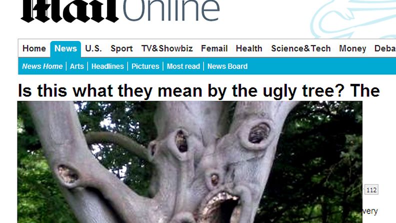 Jos metsään haluat mennä nyt... niin takuulla pelästyt? Suffolkista löytyvä puu on kuin pahimmista painajaisista.  Kuva: Daily Mail/Newsteam