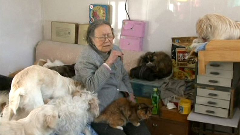 Valtaosa 84-vuotiaan Ding Shiyangin hoitamista kissoista kuoli naisen kotona sattuneessa tulipalossa.Kuva AP:n videomateriaalista.