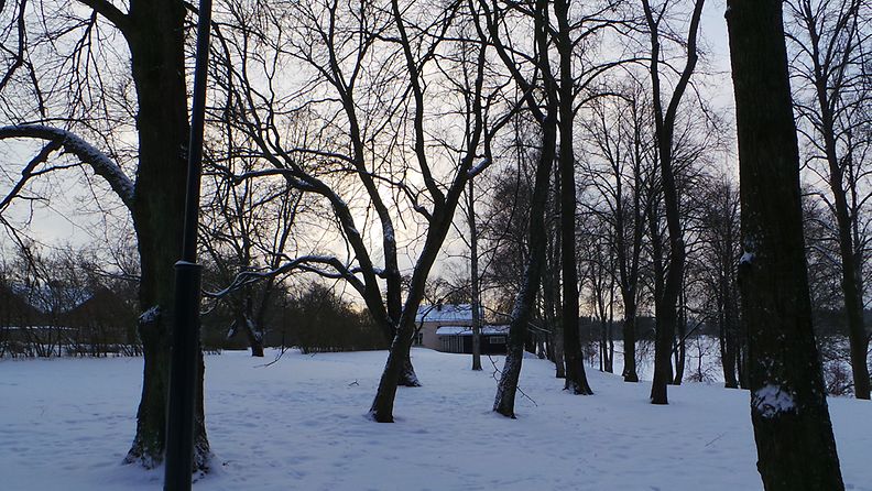Samsung Galaxy Cameralla otettu testikuva Hatanpään puistosta.