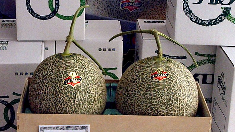 Huutokaupan olevat yubarimelonit Tomakomain kaupungissa vuonna 2006. Näistä meloneista maksettiin 5600 euroa.