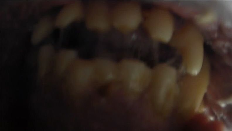 Näitä hampaita haluaisit tuskin tosielämässä nähdä yhtä läheltä. Kuvakaappaus Brad Josephsin YouTube-videosta.