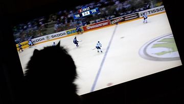 Uutissilmä: 11.5.2011, Jääkiekkofani Mörkö-kissa seuraa peliä