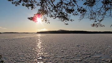 Juuri jäätynyt Saimaa. Kuva otettu 28. marraskuuta 2010. Kuva: Juho Uimonen