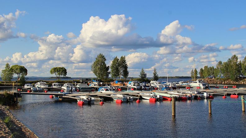 Kesäpäivä Kajaanin Paltaniemellä, Oulujärven rannalla 2. elokuuta 2014. Lukijan kuva: Sinikka Kujala