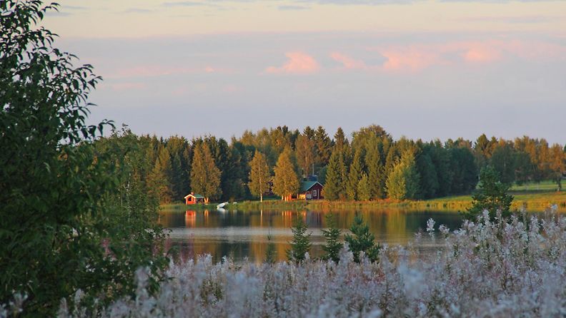 Tyyni järvi 2. syyskuuta 2014. Lukijan kuva: Sinikka Kujala