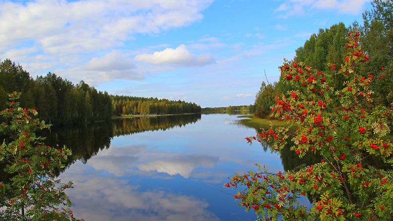 Aurinkoinen päivä Utajärvellä 6. syyskuuta 2014. Lukijan kuva: Sinikka Kujala
