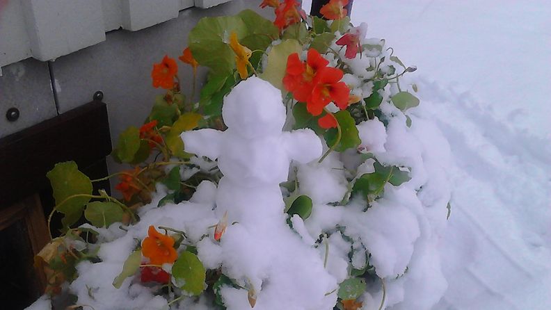 Lunta Ilomantsissa 23. syyskuuta 2014. Lukijan kuva: Helena Joronen